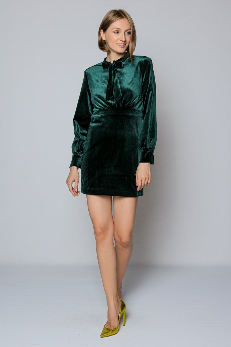 Victoria Velvet Dress (green)